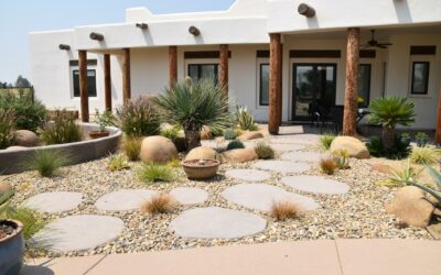 Desert Landscape